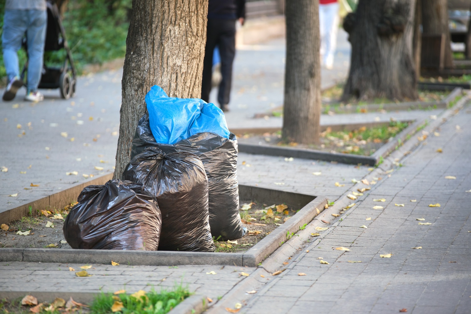 Sydney illegal dumping fines
