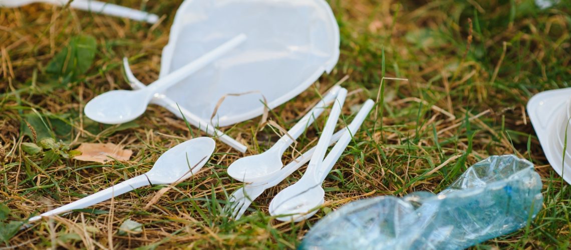Single Use Plastic Ban in NSW