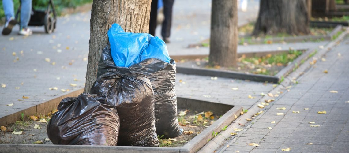 Sydney illegal dumping fines